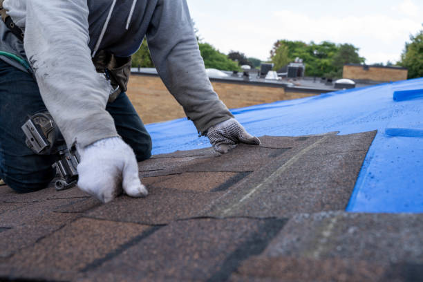 Best Metal Roofing Contractor  in Crandon, WI