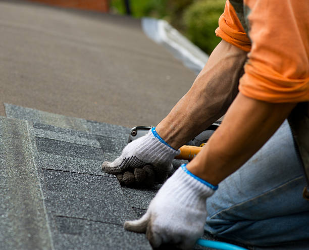 Best Storm Damage Roof Repair  in Crandon, WI